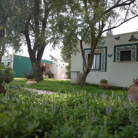 Amiad Joseph Well Country Inn Dış mekan fotoğraf